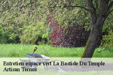 Entretien espace vert  la-bastide-du-temple-82100 Artisan Ternus