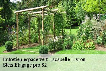 Entretien espace vert lacapelle-livron-82160 Steis Elagage pro 82