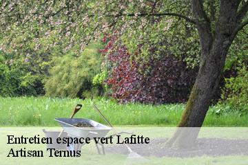 Entretien espace vert  lafitte-82100 Artisan Ternus