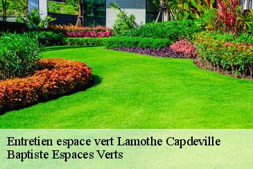 Entretien espace vert lamothe-capdeville-82130 Baptiste Espaces Verts