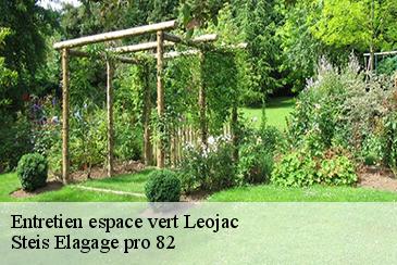 Entretien espace vert leojac-82230 Steis Elagage pro 82