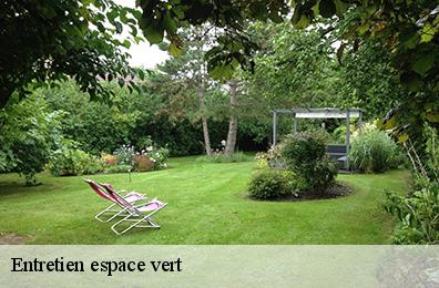 Entretien espace vert