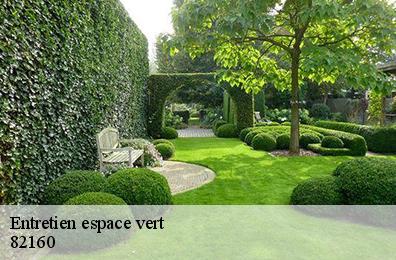 Entretien espace vert 82160