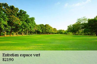 Entretien espace vert 82190