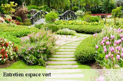 Entretien espace vert