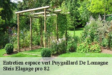 Entretien espace vert puygaillard-de-lomagne-82120 Steis Elagage pro 82