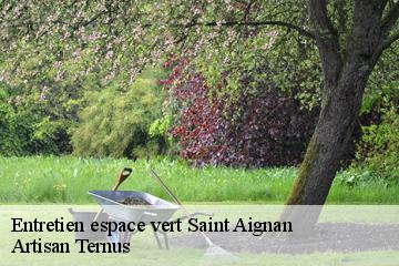 Entretien espace vert  saint-aignan-82100 Artisan Ternus