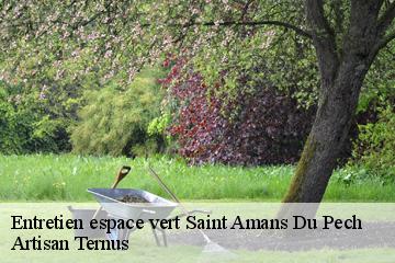 Entretien espace vert  saint-amans-du-pech-82150 Artisan Ternus