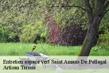 Entretien espace vert  saint-amans-de-pellagal-82110 Artisan Ternus