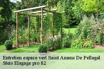Entretien espace vert  saint-amans-de-pellagal-82110 Steis Elagage pro 82