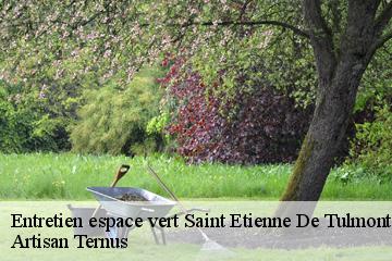 Entretien espace vert  saint-etienne-de-tulmont-82410 Artisan Ternus