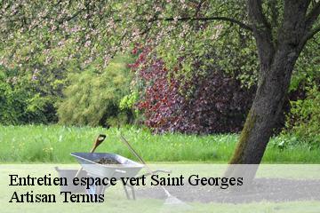 Entretien espace vert  saint-georges-82240 Artisan Ternus