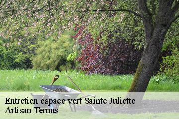 Entretien espace vert  sainte-juliette-82110 Artisan Ternus