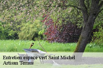 Entretien espace vert  saint-michel-82340 Artisan Ternus