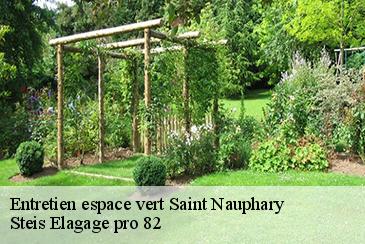 Entretien espace vert saint-nauphary-82370 Steis Elagage pro 82