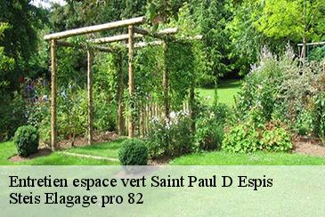 Entretien espace vert saint-paul-d-espis-82400 Steis Elagage pro 82