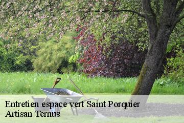 Entretien espace vert  saint-porquier-82700 Artisan Ternus