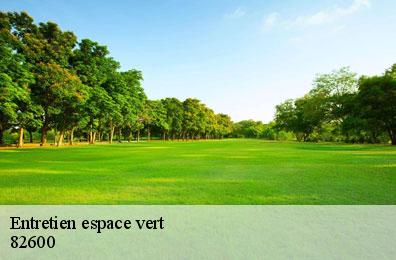 Entretien espace vert 82600