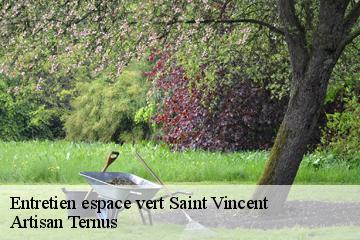 Entretien espace vert  saint-vincent-82300 Artisan Ternus