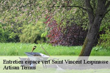 Entretien espace vert  saint-vincent-lespinasse-82400 Artisan Ternus