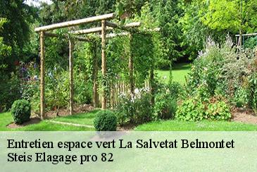 Entretien espace vert la-salvetat-belmontet-82230 Steis Elagage pro 82