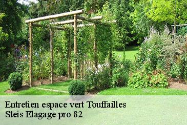 Entretien espace vert  touffailles-82190 Steis Elagage pro 82