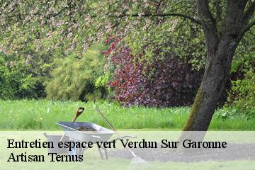 Entretien espace vert  verdun-sur-garonne-82600 Artisan Ternus