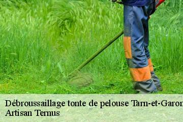 Débroussaillage tonte de pelouse 82 Tarn-et-Garonne  Artisan Ternus