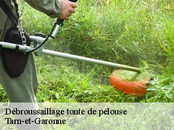 Débroussaillage tonte de pelouse Tarn-et-Garonne 