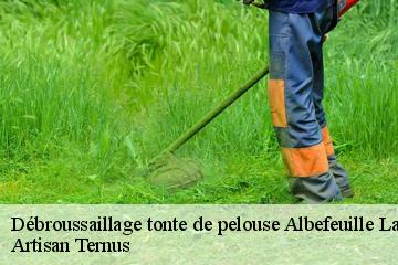 Débroussaillage tonte de pelouse  albefeuille-lagarde-82290 Artisan Ternus