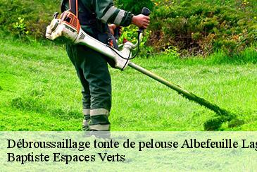 Débroussaillage tonte de pelouse albefeuille-lagarde-82290 Baptiste Espaces Verts