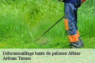 Débroussaillage tonte de pelouse  albias-82350 Artisan Ternus