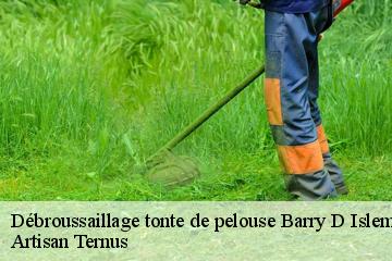 Débroussaillage tonte de pelouse  barry-d-islemade-82290 Artisan Ternus