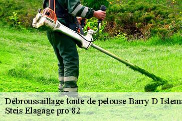 Débroussaillage tonte de pelouse barry-d-islemade-82290 Steis Elagage pro 82