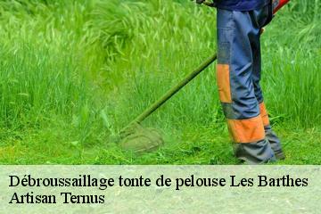 Débroussaillage tonte de pelouse  les-barthes-82100 Artisan Ternus