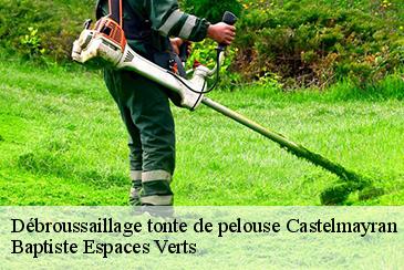 Débroussaillage tonte de pelouse  castelmayran-82210 Baptiste Espaces Verts 