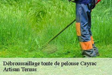 Débroussaillage tonte de pelouse  cayrac-82440 Artisan Ternus
