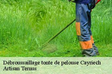 Débroussaillage tonte de pelouse  cayriech-82240 Artisan Ternus