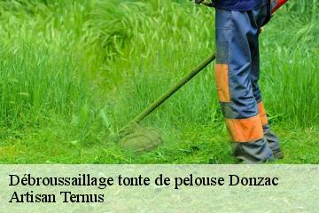 Débroussaillage tonte de pelouse  donzac-82340 Artisan Ternus