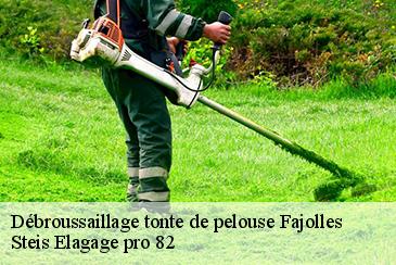 Débroussaillage tonte de pelouse fajolles-82210 Steis Elagage pro 82