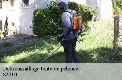 Débroussaillage tonte de pelouse 82210