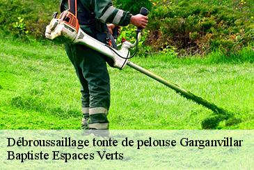 Débroussaillage tonte de pelouse garganvillar-82100 Baptiste Espaces Verts