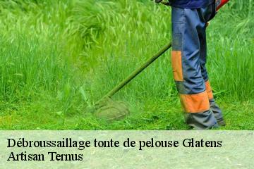 Débroussaillage tonte de pelouse  glatens-82500 Artisan Ternus