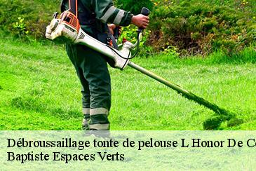 Débroussaillage tonte de pelouse l-honor-de-cos-82130 Baptiste Espaces Verts