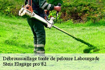 Débroussaillage tonte de pelouse  labourgade-82100 Steis Elagage pro 82