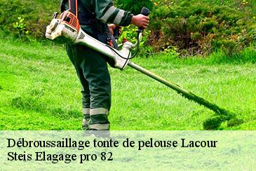 Débroussaillage tonte de pelouse  lacour-82190 Steis Elagage pro 82