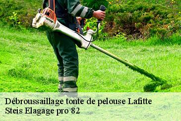 Débroussaillage tonte de pelouse lafitte-82100 Steis Elagage pro 82