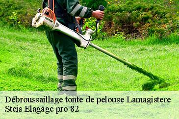 Débroussaillage tonte de pelouse lamagistere-82360 Steis Elagage pro 82