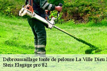 Débroussaillage tonte de pelouse la-ville-dieu-du-temple-82290 Steis Elagage pro 82