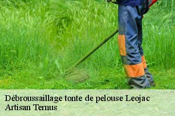Débroussaillage tonte de pelouse  leojac-82230 Artisan Ternus